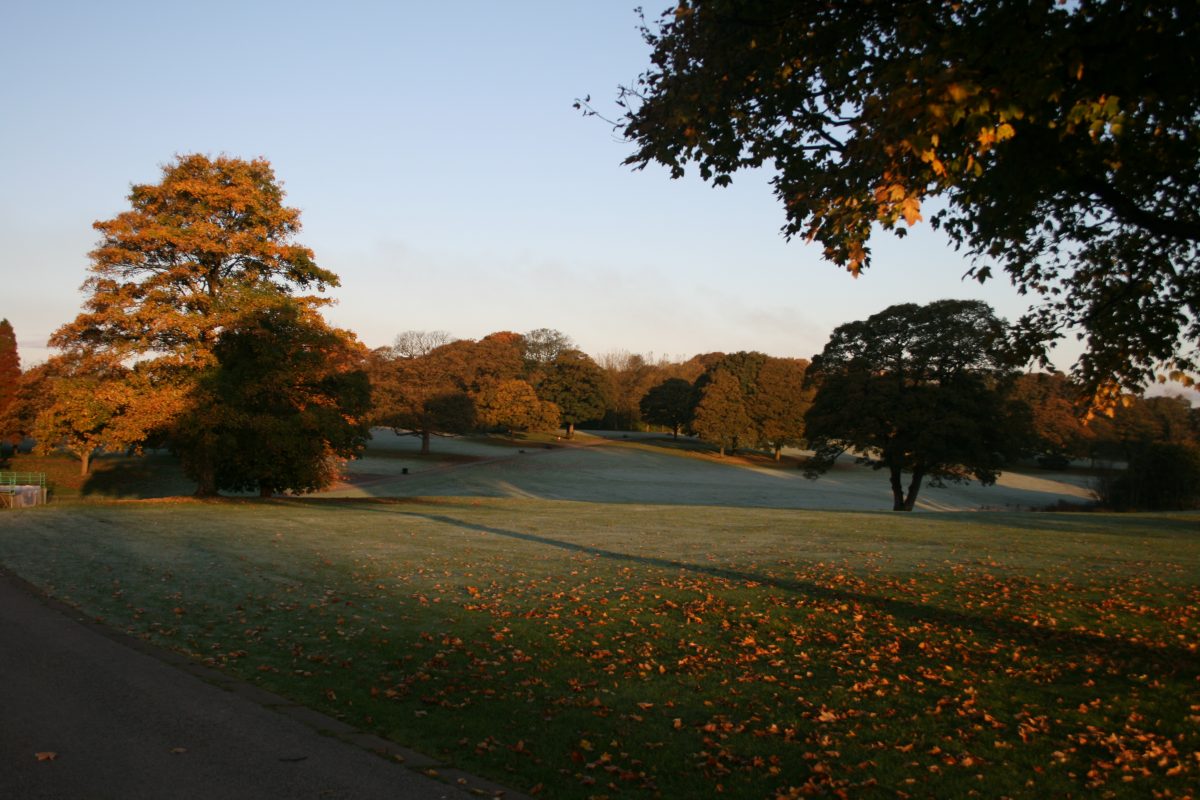 Sherdley Autumn 08